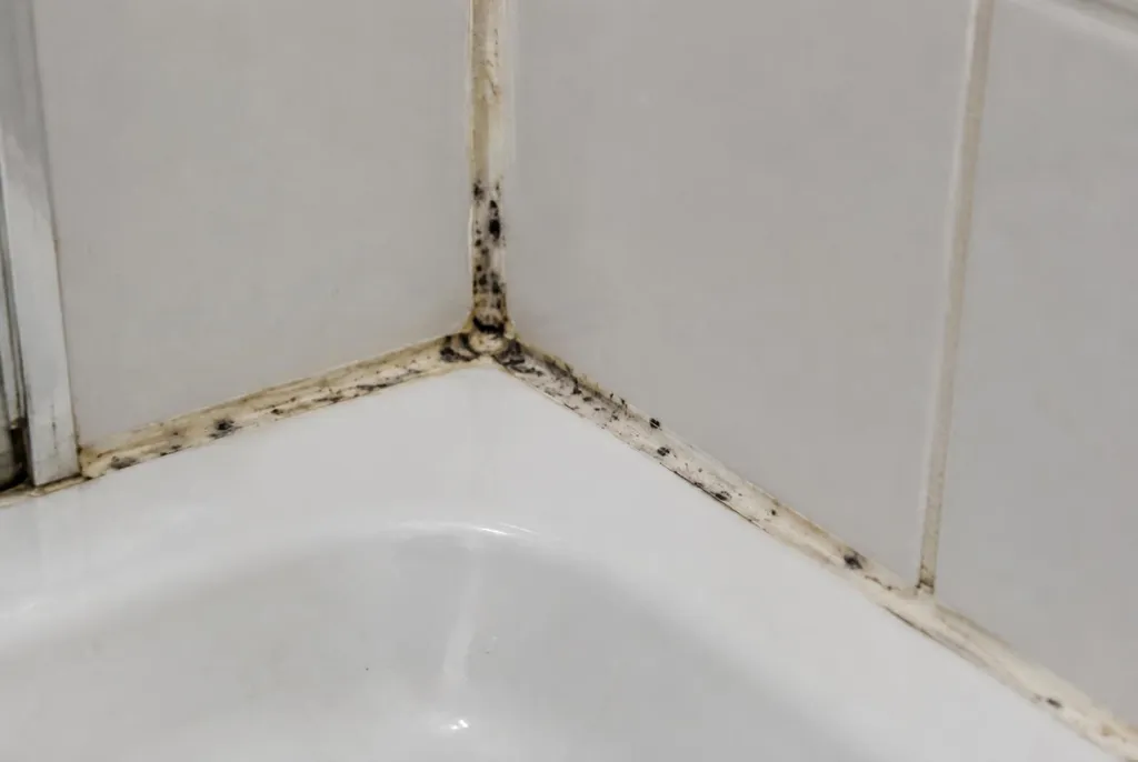 Kitbedrijf Eemnes – beschimmelde kitranden